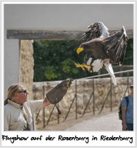 Weitere Informationen zur Rosenburg und dem Falkenhof